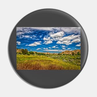 Theodore Roosevelt National Park North Unit Pin