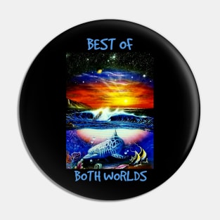 Dolphin seascape Hawaii three worlds space Pin