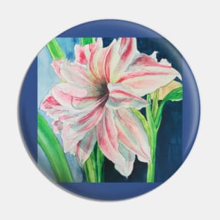 Pink and white Amaryllis watercolour painting Pin