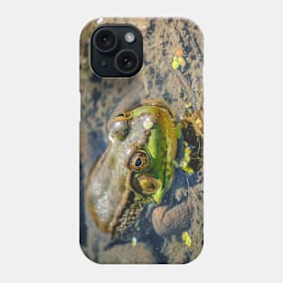 Sunbathing Frog. Photograph Phone Case