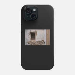 Wooden closed shutters. Phone Case