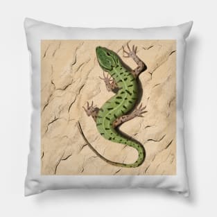 Lizard in the desert Pillow