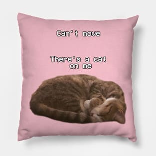 Po the cutest small legged cat Pillow