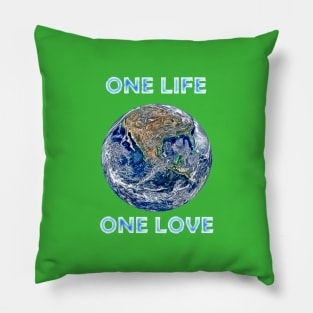 The Earth: One Life Pillow