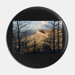 Mesa Verde Landscape Pin