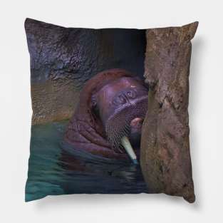 Sheepish Walrus Pillow