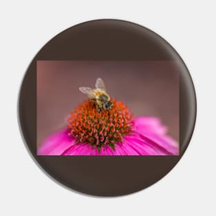 Bee on Wild Berry Coneflower Pin