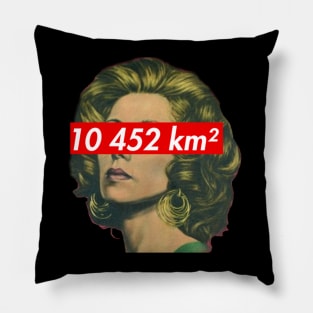 Fairuz 10 452 km Pillow
