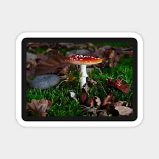 beautiful red toadstool on mossy forest floor Magnet