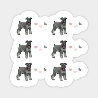 Grey miniature schnauzer dog Magnet