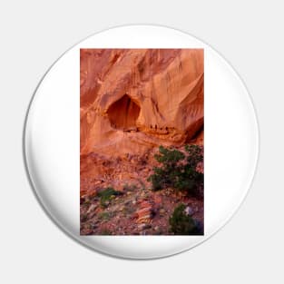 Capitol Reef National Park, Utah Pin