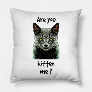 Are You Kitten Me? Pillow