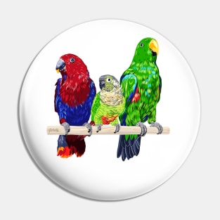 3 Parrots Pin