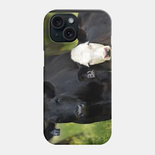 Cow stare Phone Case