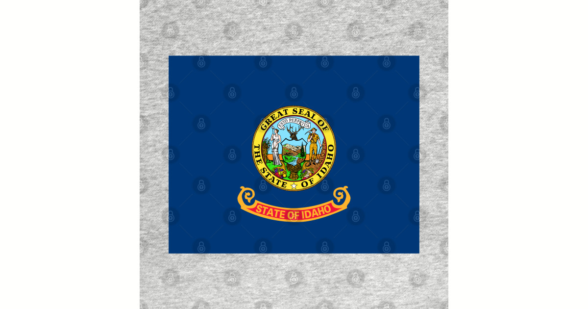 Idaho Flag Idaho T Shirt Teepublic