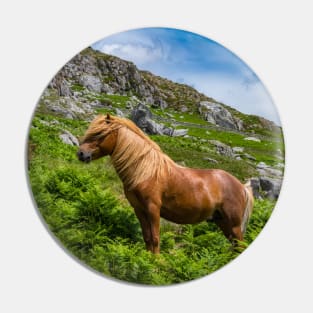 Welsh Mountain Pony Pin