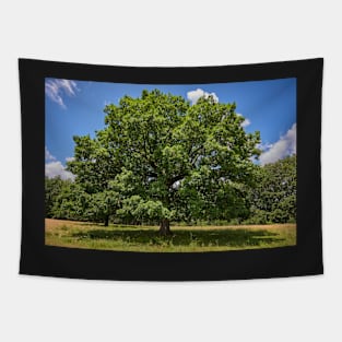 Centennial oak tree Tapestry