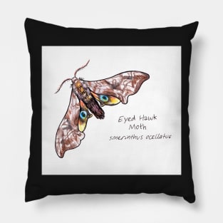 Eyed Hawk Moth drawing Pillow