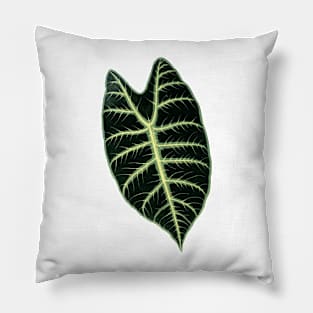 Alocasia Longiloba - Rothschild - Botanical Illustration Pillow