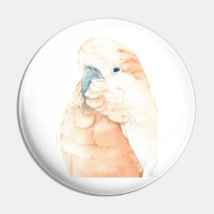 salmon-crested cockatoo watercolor portrait muluccan cacatua parrot Pin