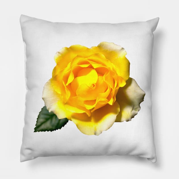 Yellow Rose Pillow by Art of V. Cook