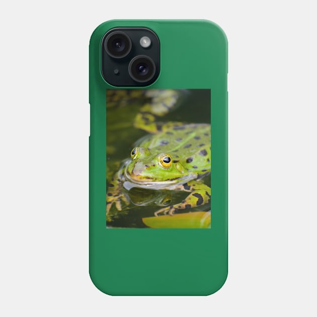 Green European Frog Phone Case by BonniePhantasm