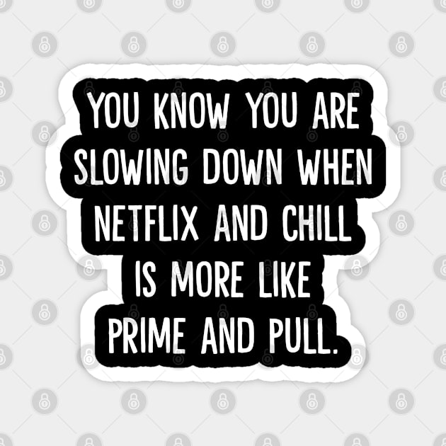 Netflix and Chill Magnet by Muzehack