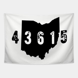 43615 Toledo Zip Code Tapestry