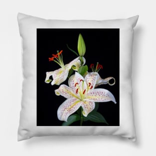 Beautiful Sonata Lilies Still Life Pillow