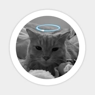 Angel Kitty Magnet