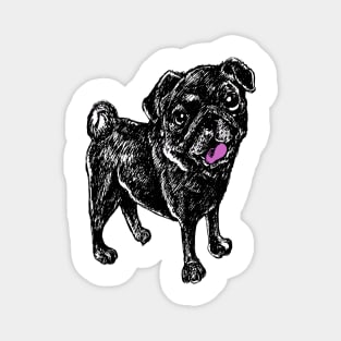 Black Pug Dog of Halloween Magnet