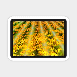 Field of Dreams Magnet