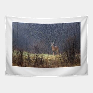 Sentry - White-tailed deer Tapestry