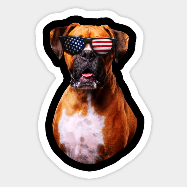 boxer dog sunglasses