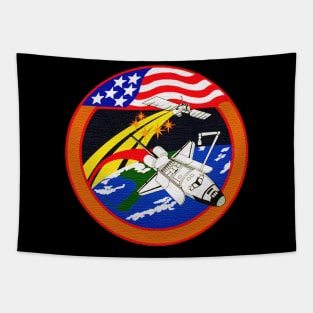 Black Panther Art - NASA Space Badge 133 Tapestry