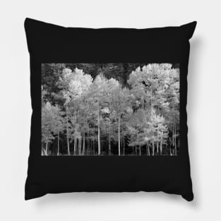 Aspens in Fall fine art work A Pillow