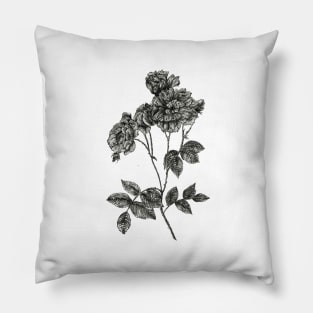 Peony flower stem - B&W Pillow