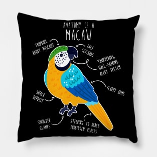 Blue and Gold Macaw Parrot Anatomy Pillow