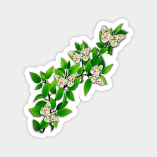 Butterfly Vine Magnet