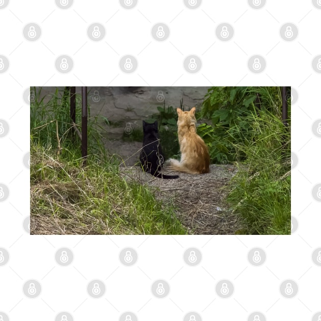 Ginger and black cats sit side by side in the grass and look from the stairs. View from the back by EvgeniiV