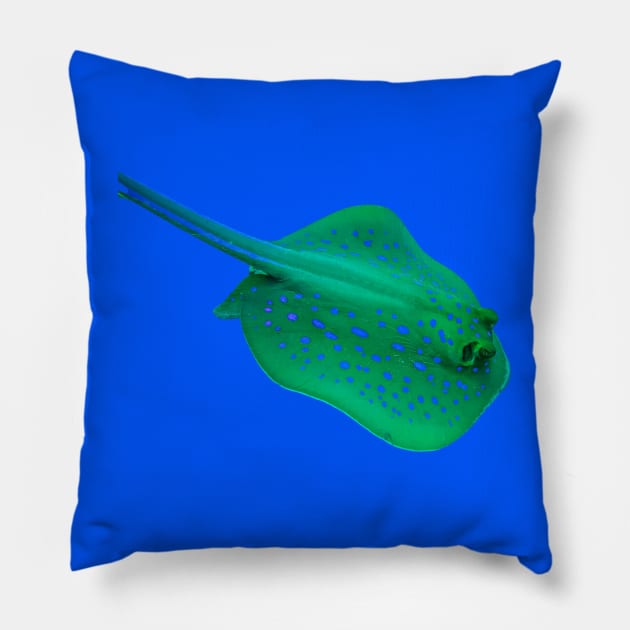 STINGRAY Pillow by likbatonboot