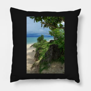 Apparel, home, tech and travel design Pillow