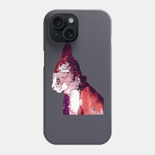 Valhalla Cat Phone Case