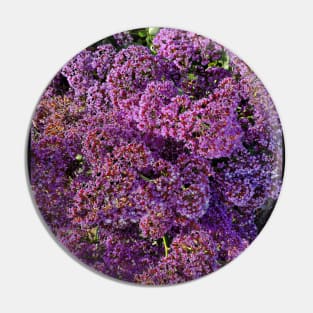 Purple Flowers Photography My Pin