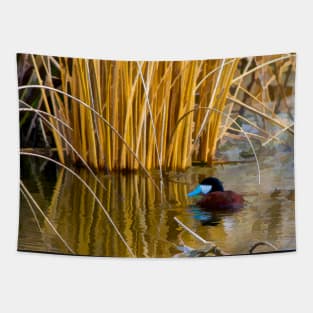 Ruddy Duck in Spring. Tapestry