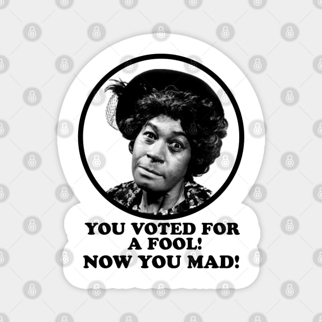 Aunt Esther: You Voted for a Fool Now You Mad Magnet by UrbanLifeApparel