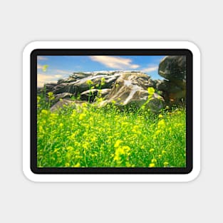 Buttercups and Rocks Magnet