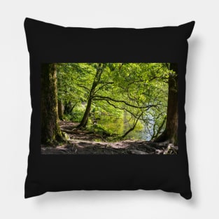 Edge of Rydal Pillow