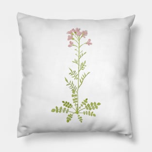 Cuckoo flower / lady's smock Pillow