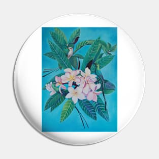 Sugar Birds in Frangipani. Pin